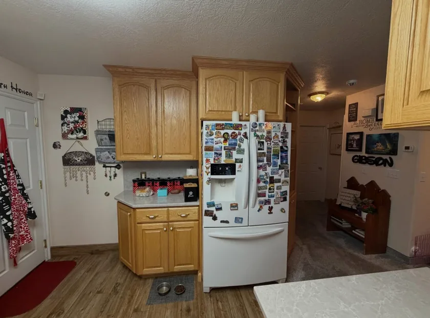 Kitchen cabinets before refinishing